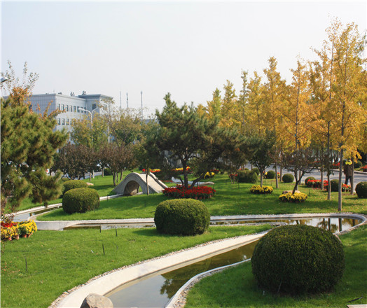 綠化養(yǎng)護(hù)